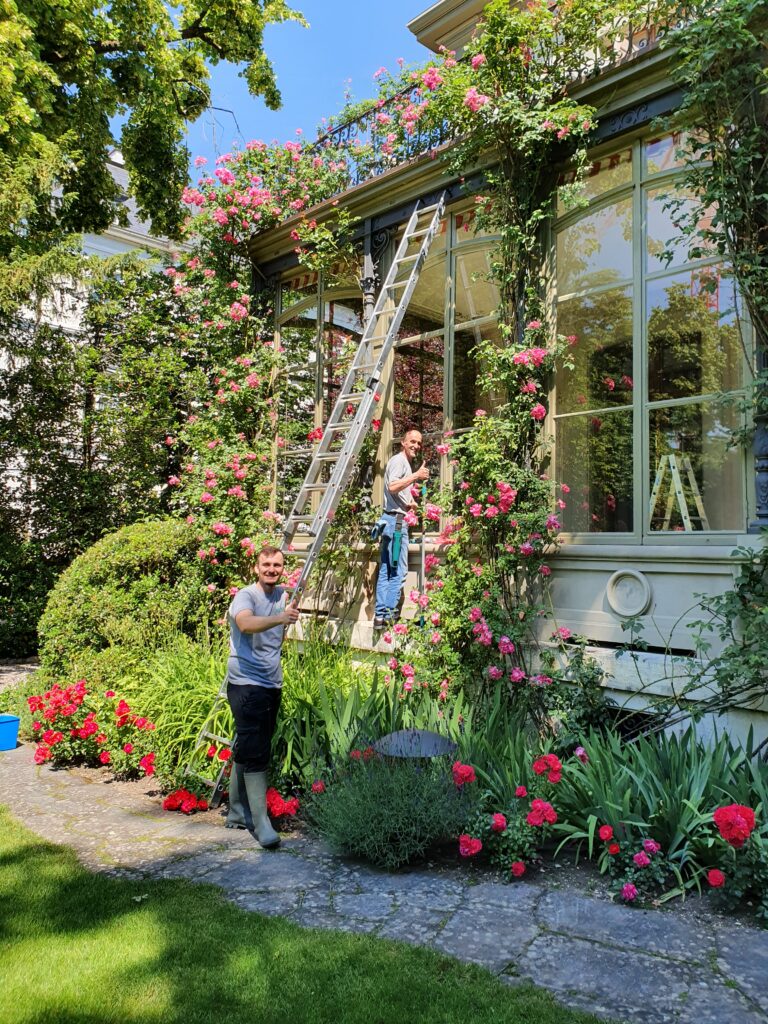 Wohnungsreinigung